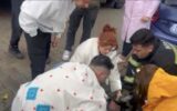 Yangında 2 köpekten biri öldü, diğeri kalp masajıyla yaşama döndürüldü