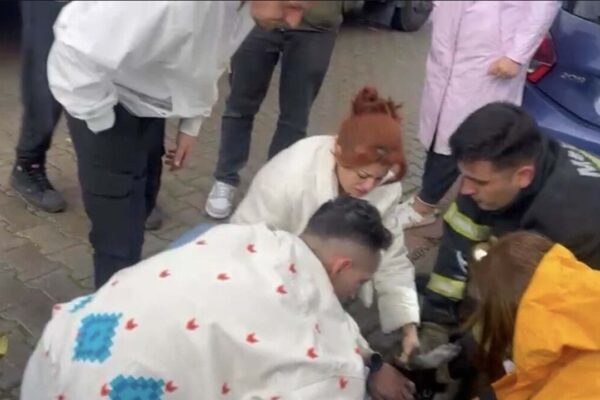 Yangında 2 köpekten biri öldü, diğeri kalp masajıy... Yangında 2 köpekten biri öldü, diğeri kalp masajıy...