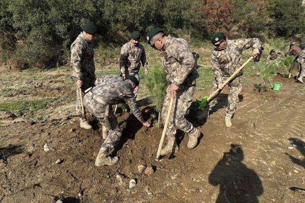 Aydın’da 33 şehit polis anısına 333 fidan di... Aydın’da 33 şehit polis anısına 333 fidan di...