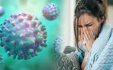 Bakanlıktan ‘H3N2 virüsü’ açıklaması: Türkiye’de görüldü mü?