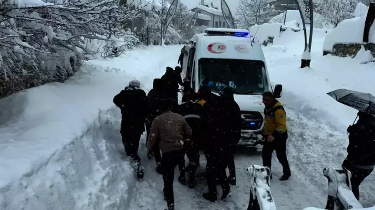 Van’da mahalleye çığ düştü: 1 kişi hayatını kaybetti! Van’da mahalleye çığ düştü: 1 kişi hayatını kaybetti!