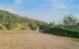 “Yol boyu ticaret” talep etmişti… Gıda devine komisyonlardan ret! “Yol boyu ticaret” talep etmişti… Gıda devine komisyonlardan ret!