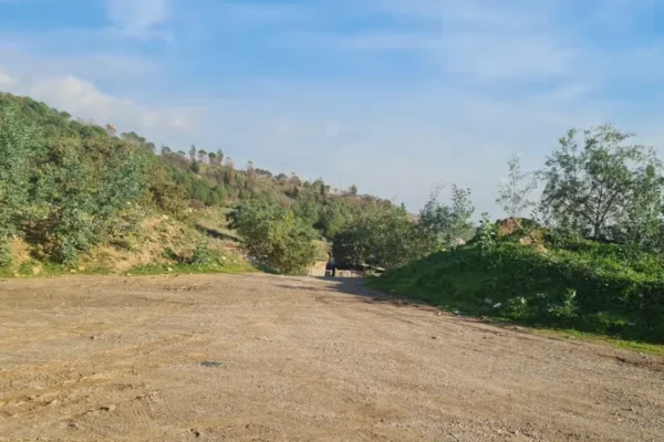 “Yol boyu ticaret” talep etmişti… Gıda devine komi...