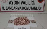 Aydın’da zehir baskını: 17 yaşındaki şüpheli yakalandı