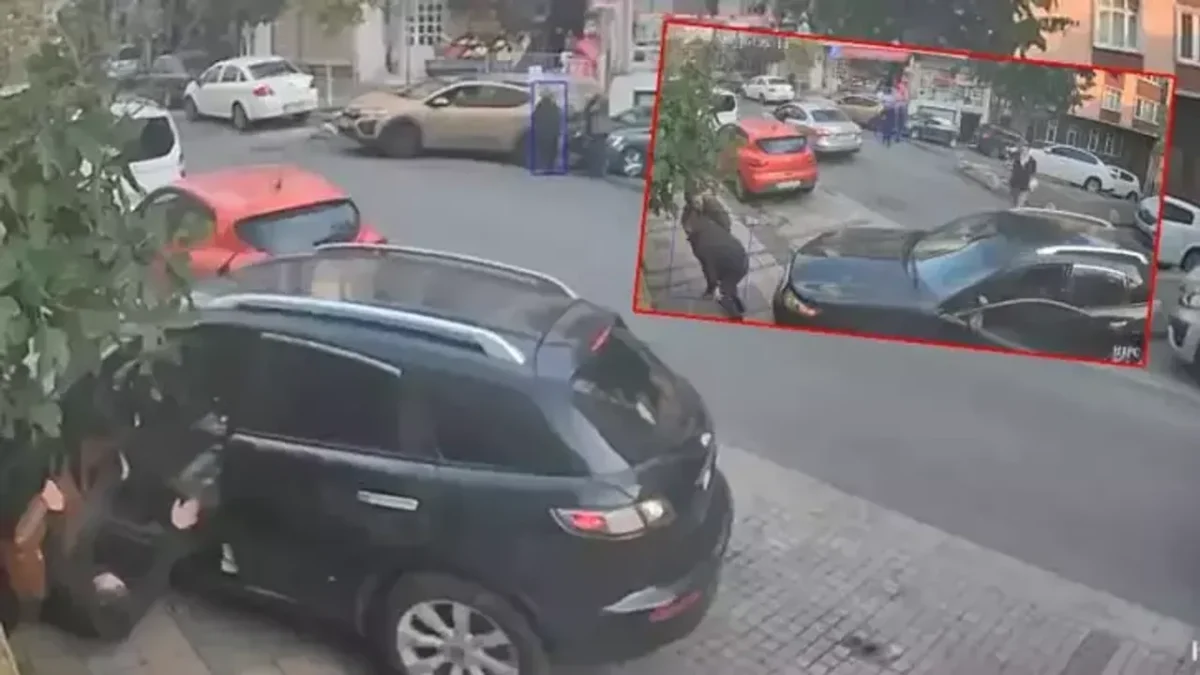Akılalmaz olay: Şoför koltuğundayken kendi aracının altında kaldı
