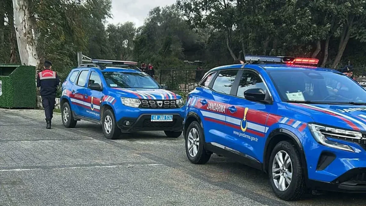 Bodrum’da vahşet: 2 köpek tüfekle vuruldu! Bodrum’da vahşet: 2 köpek tüfekle vuruldu!