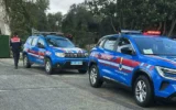 Bodrum’da vahşet: 2 köpek tüfekle vuruldu!