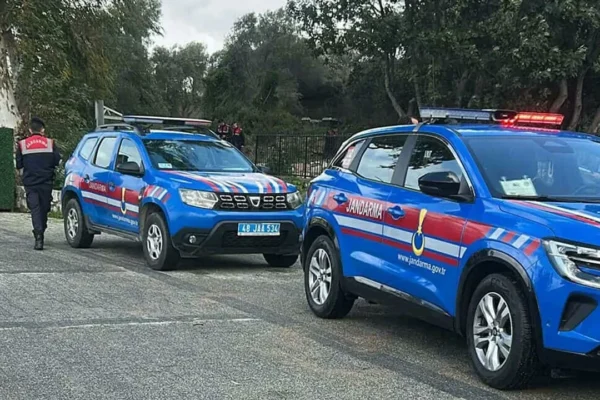 Bodrum’da vahşet: 2 köpek tüfekle vuruldu! Bodrum’da vahşet: 2 köpek tüfekle vuruldu!