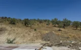 Fay hattının dibindeki sondaja mahkeme freni!