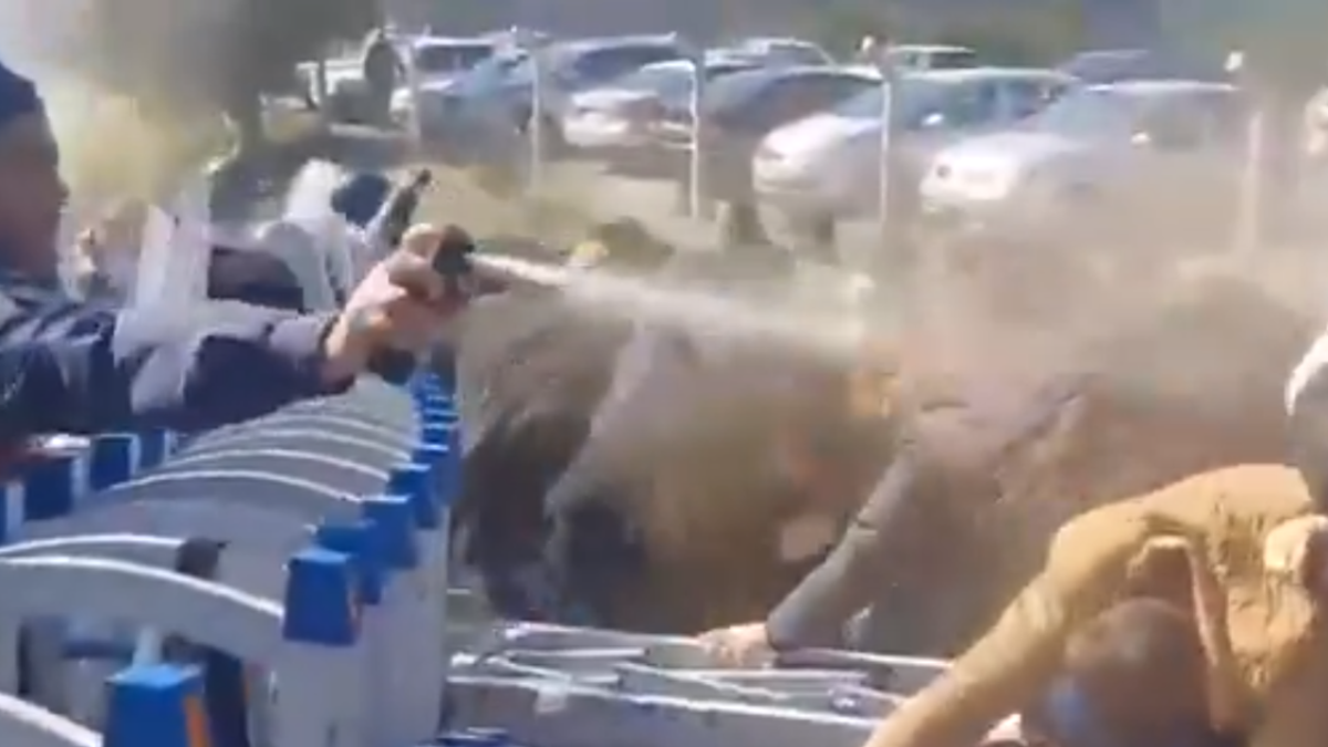 Kınık’ta biber gazlı, TOMA’lı müdahale: İşçiler maden tesisine el koyuyor!