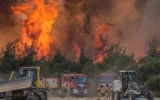 Aralarında İzmir de var… Yangın dosyalarında ret kararı! Aralarında İzmir de var… Yangın dosyalarında ret kararı!