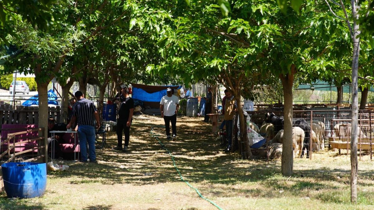 Seferihisar’dan Kurban Bayramı’nda dayanışma çağrısı! Seferihisar’dan Kurban Bayramı’nda dayanışma çağrısı!