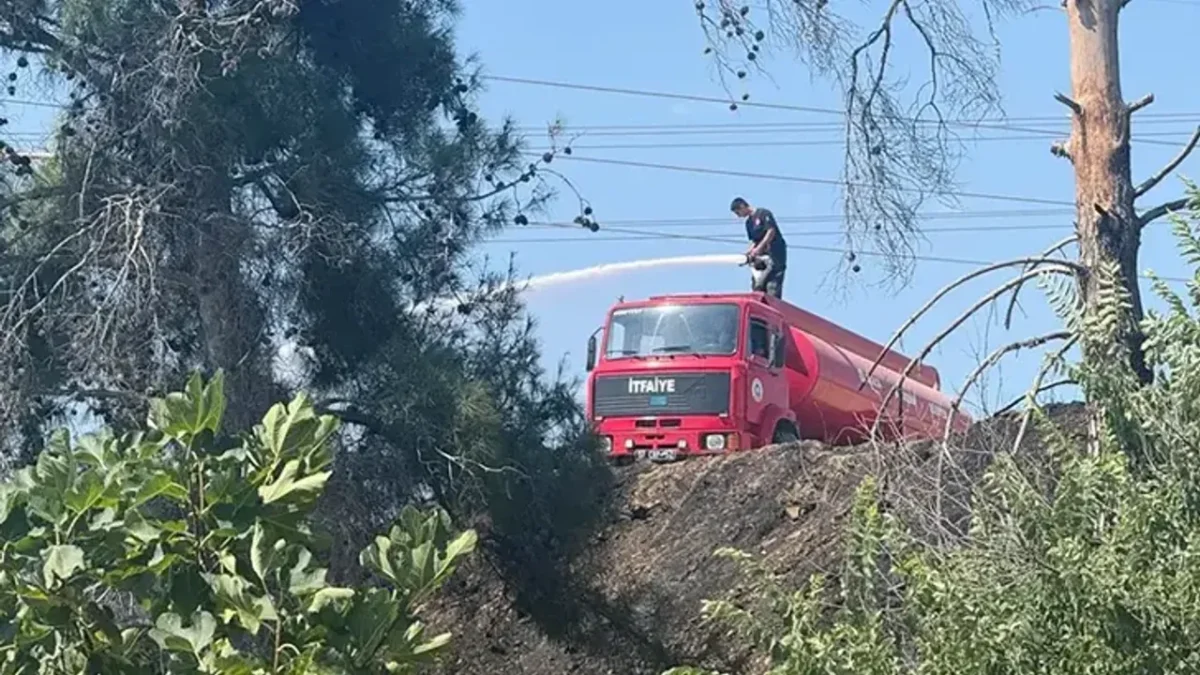 Antalya’da 2 orman yangını! Antalya’da 2 orman yangını!