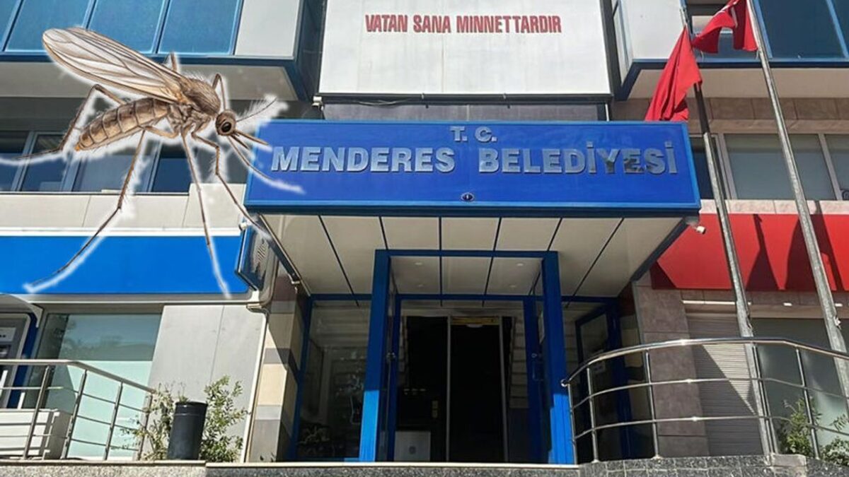 Sinek isyanına enteresan savunma: Önceliğimiz arılar! Sinek isyanına enteresan savunma: Önceliğimiz arılar!