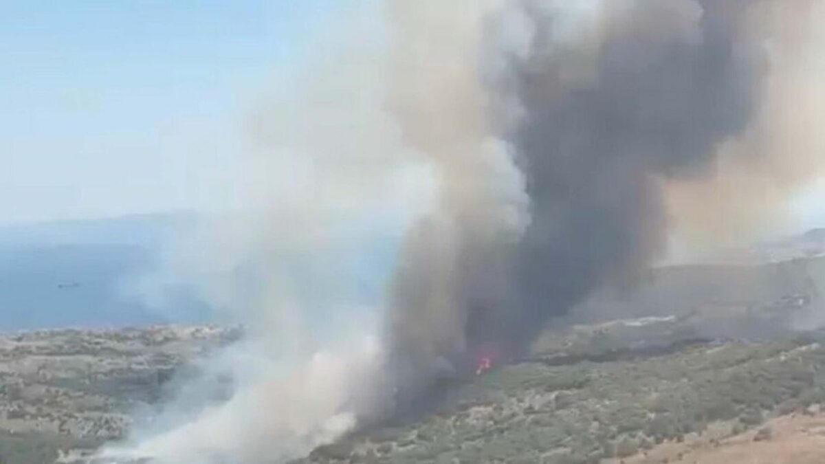 İzmir’de maki yangını İzmir’de maki yangını