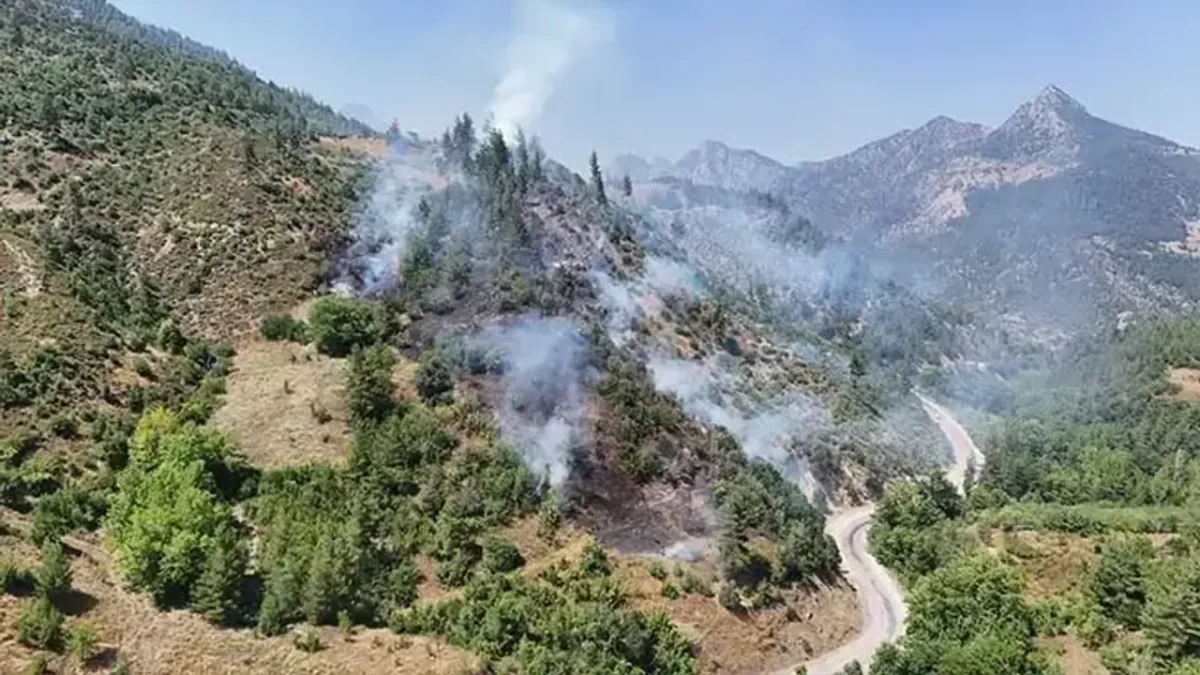Adana’da orman yangını!