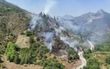 Adana’da orman yangını! Adana’da orman yangını!