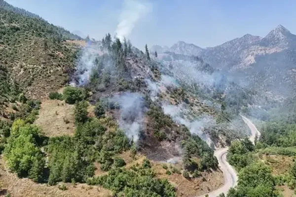 Adana’da orman yangını!