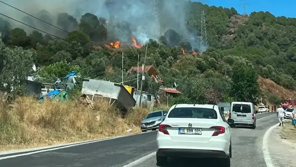 Yalova’da orman yangını! Yalova’da orman yangını!