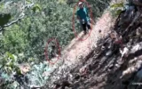 CHP ilçe başkanı ve oğlu fotokapana yakalandı: Kenevir tarlasını sularken görüntülendi! CHP ilçe başkanı ve oğlu fotokapana yakalandı: Kenevir tarlasını sularken görüntülendi!