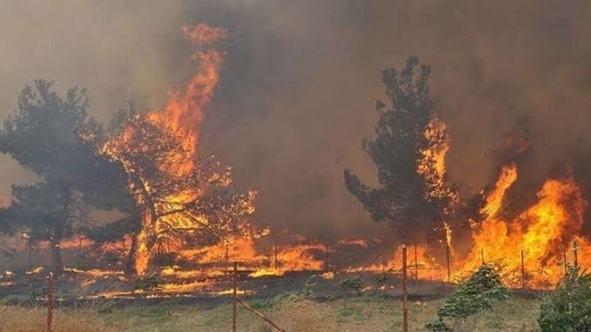 Muğla Valiliği’nden kritik yangın uyarısı: Sıcaklık artıyor, risk büyüyor Muğla Valiliği’nden kritik yangın uyarısı: Sıcaklık artıyor, risk büyüyor