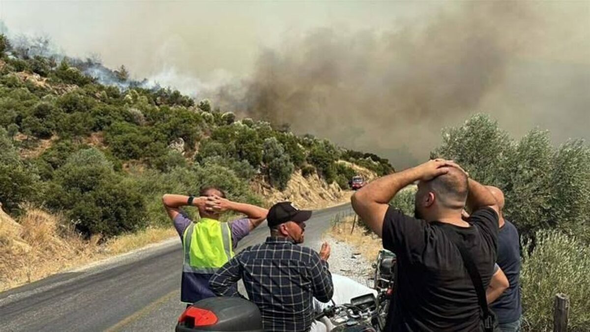 Aydın’daki yangın kontrol altında! Aydın’daki yangın kontrol altında!