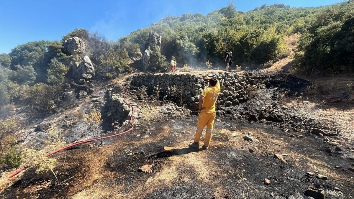Kemalpaşa’da makilik yangını kontrol altına alındı Kemalpaşa’da makilik yangını kontrol altına alındı