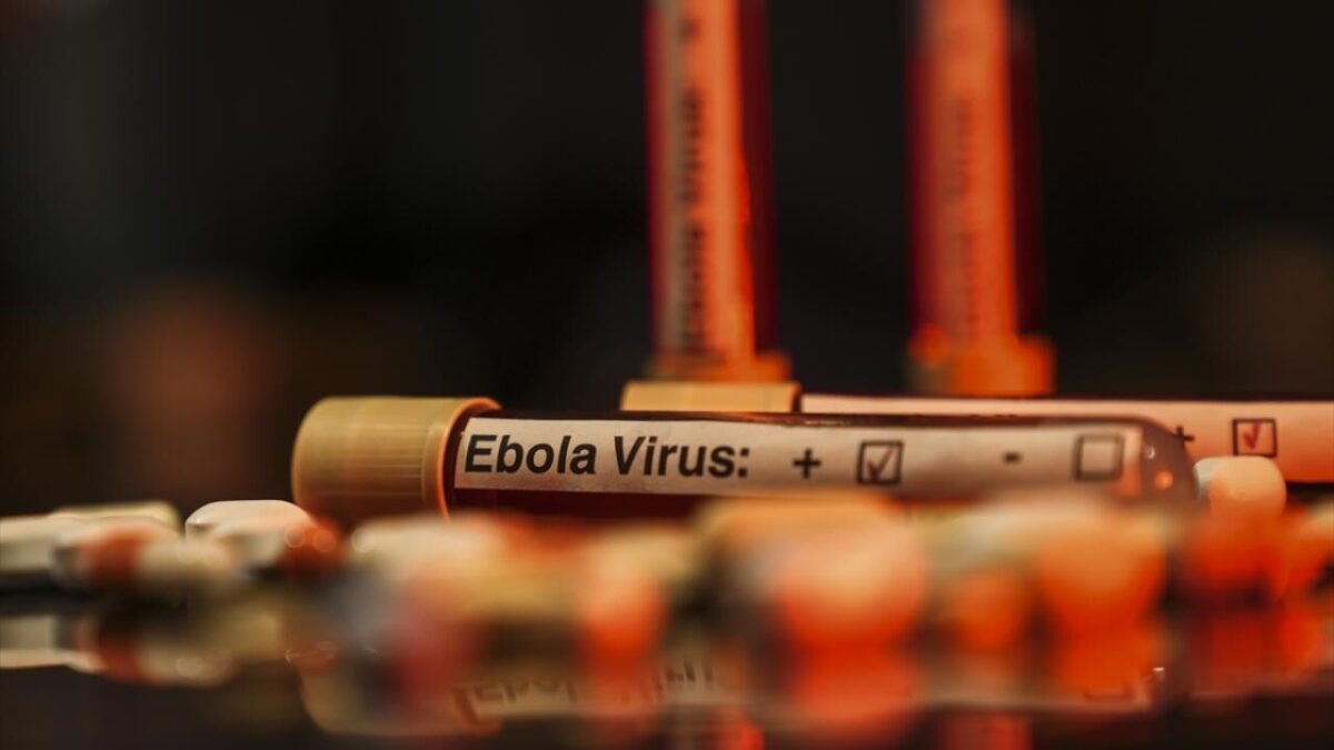 Ebola alarmı: Vaka sayısı 7 bini aştı Ebola alarmı: Vaka sayısı 7 bini aştı