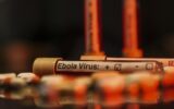 Ebola alarmı: Vaka sayısı 7 bini aştı Ebola alarmı: Vaka sayısı 7 bini aştı
